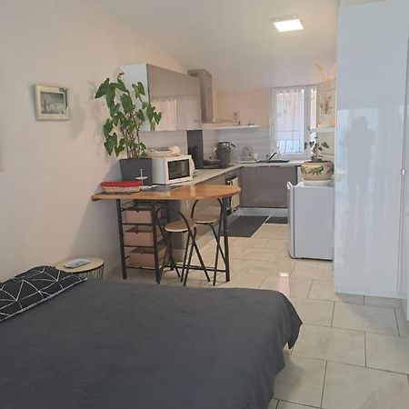 Appartement Chez Sabine Et Pascal à Meyzieu Extérieur photo