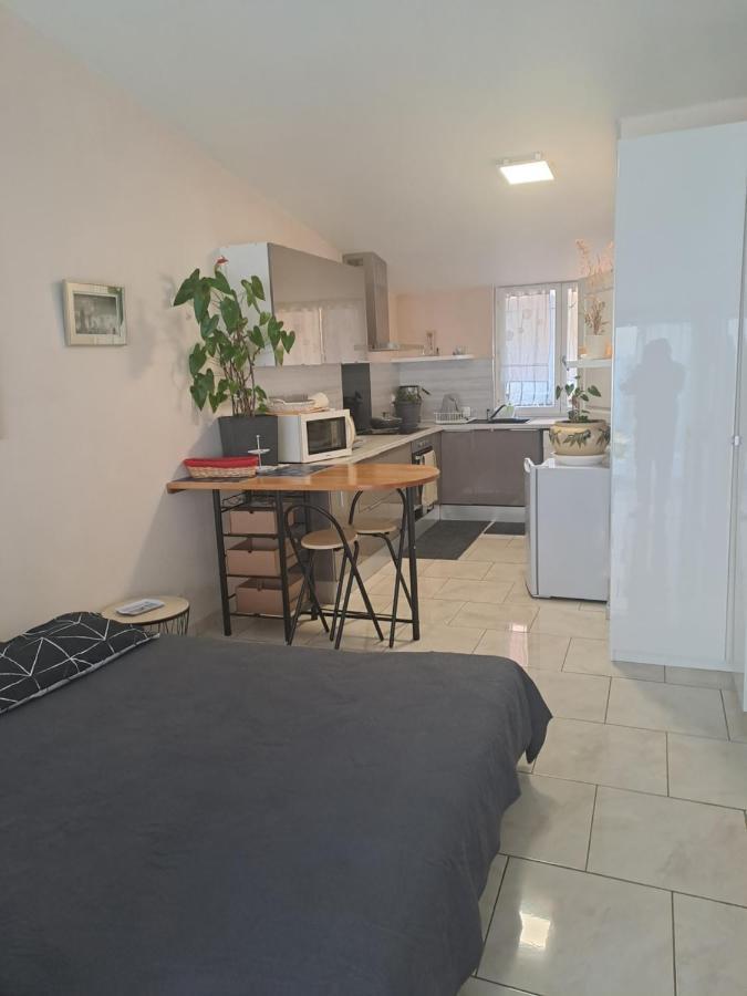 Appartement Chez Sabine Et Pascal à Meyzieu Extérieur photo